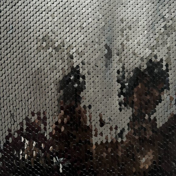 Frame Sequin Pants (NWT) - Picture 16 of 16